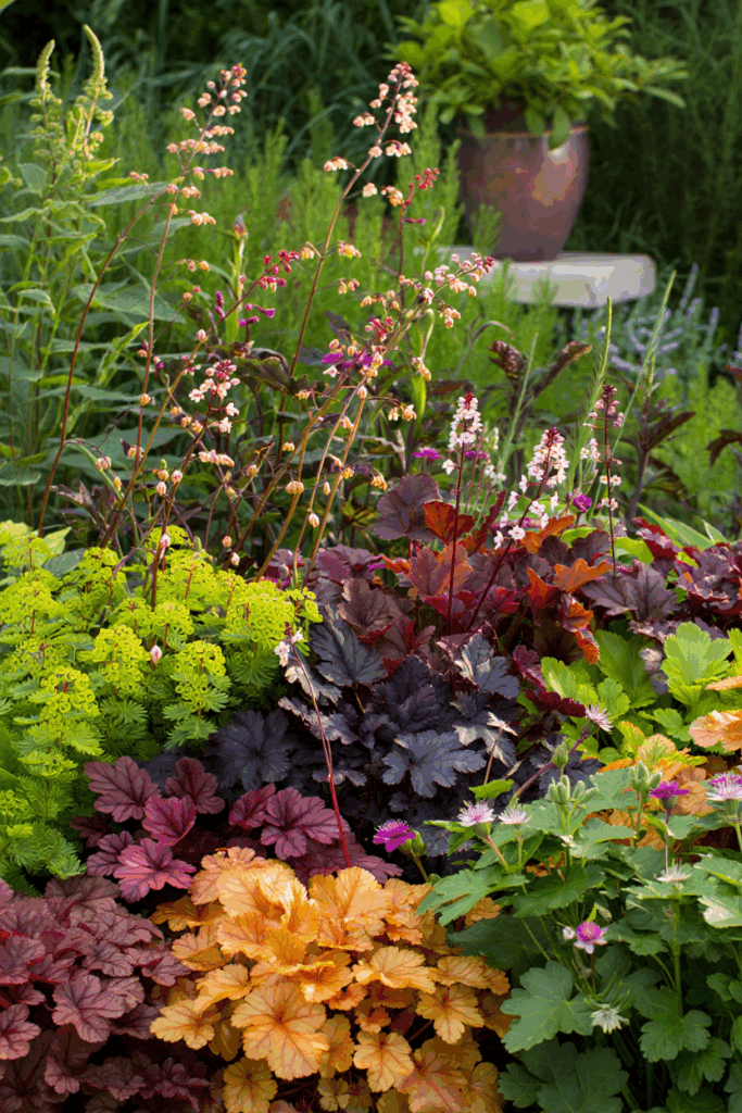 10 Native, Deer-Resistant Plants That Bring the Beauty of Hostas Without the Constant Chewing 11