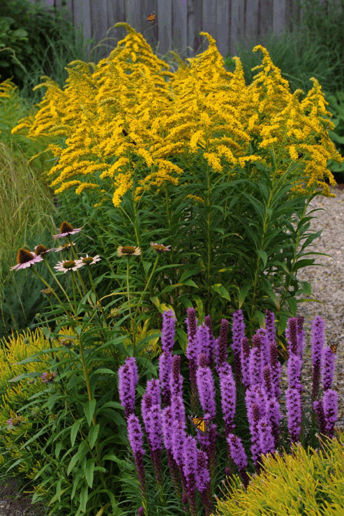 As Summer Fades, These 10 Native Flowers Keep Bees, Butterflies, and Color Alive Until Frost 6
