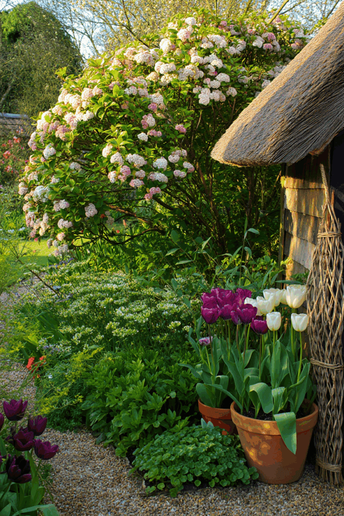 10 Flowering Shrubs That Are Just as Beautiful as Hydrangeas — but So Much Easier to Grow and Keep Healthy 2