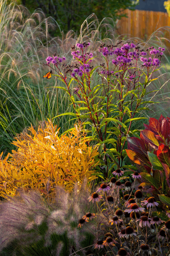 As Summer Fades, These 10 Native Flowers Keep Bees, Butterflies, and Color Alive Until Frost 5