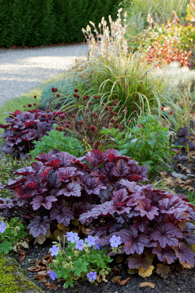 10 Native, Deer-Resistant Plants That Bring the Beauty of Hostas Without the Constant Chewing 3