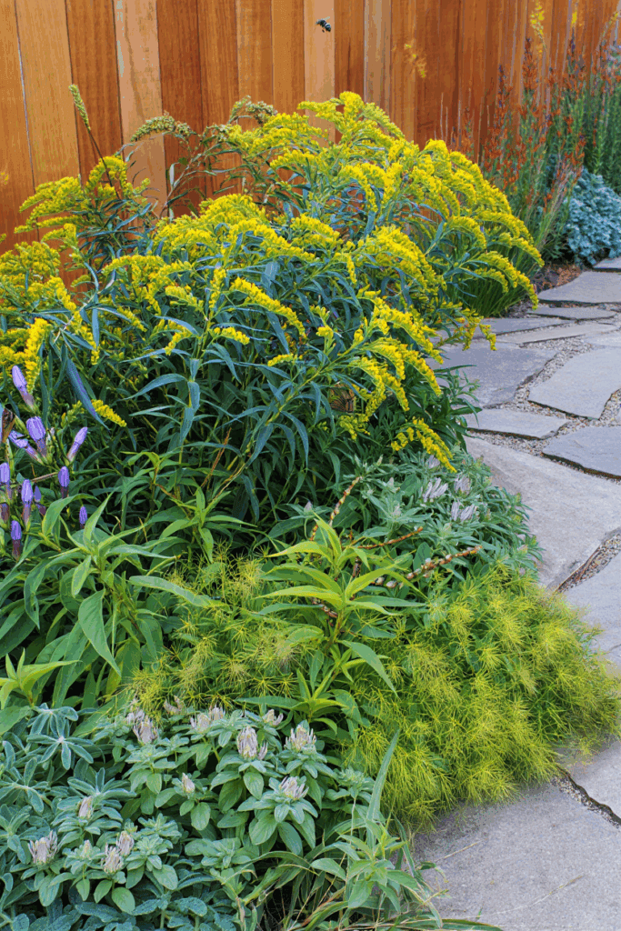 As Summer Fades, These 10 Native Flowers Keep Bees, Butterflies, and Color Alive Until Frost 2