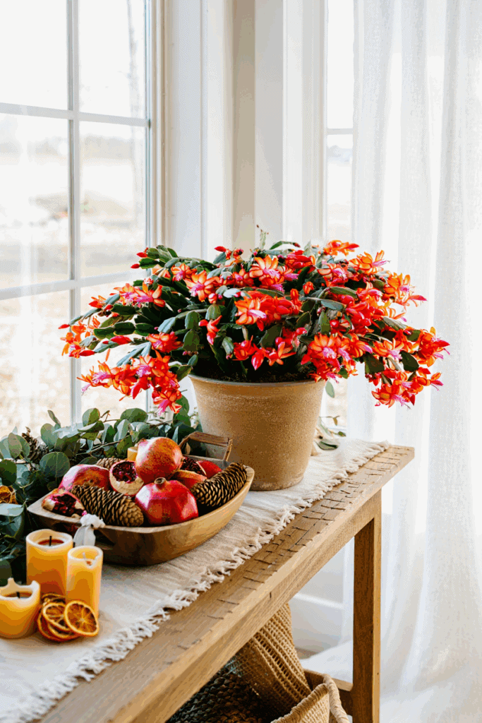 Forget Poinsettias — These 10 Stunning Holiday Plants Bring Style, Warmth, and a Fresh Twist to Your Festive Décor 6