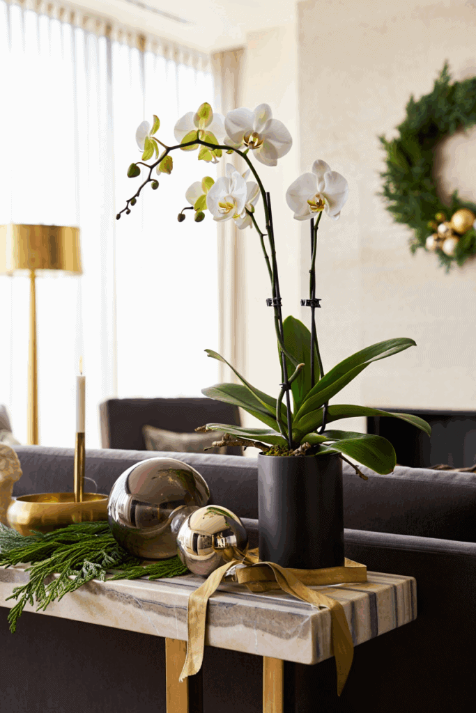 Forget Poinsettias — These 10 Stunning Holiday Plants Bring Style, Warmth, and a Fresh Twist to Your Festive Décor 3