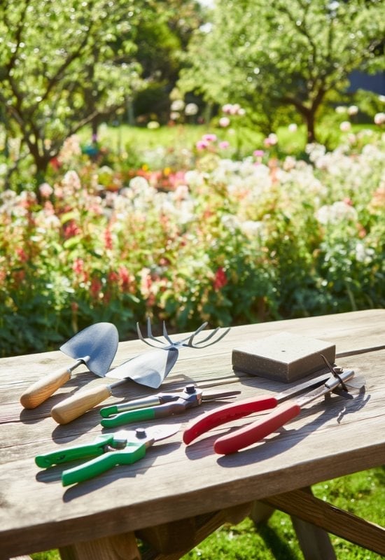 Do Your Tool Audit in Winter, You Will Avoid Surprises in Spring!