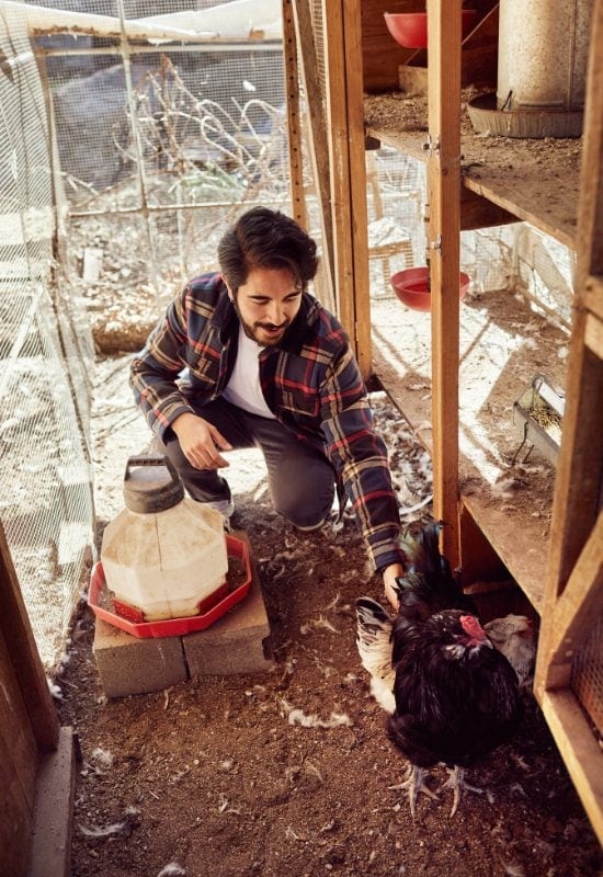 Protect Your Animals from the Cold of Winter