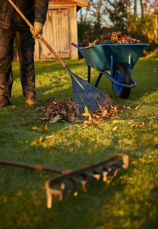 Remove the Leaves from Your Lawn