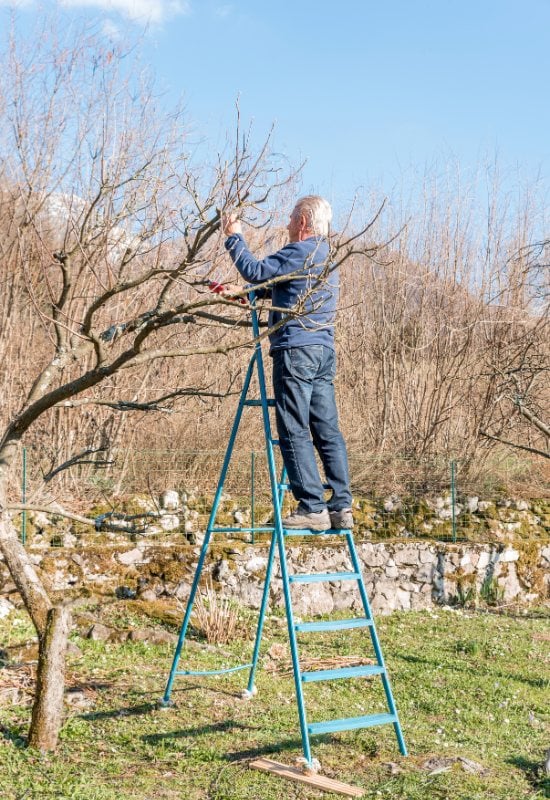 create exact like this but 2:3 ratio. 
