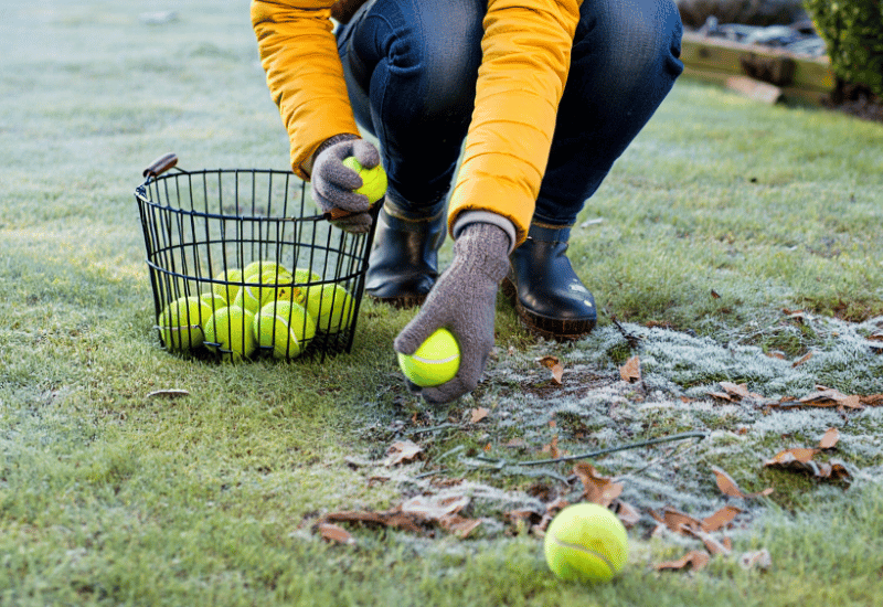 A hyper-realistic close-up outdoor winter photograph taken on a cold, bright morning. The scene is intimate and natural — no studio feel, no stylized glow, just clean winter clarity with crisp detail and soft ambient light reflecting off snow. In the center of the frame, a robin (or European robin, depending on region) perches lightly on top of a tennis ball sitting on a snow-covered lawn. The robin looks completely natural: feathers puffed for warmth, soft winter colors with subtle chest detailing, tiny claws gripping the ball’s frosted fibers, breath barely visible in the cold air (only if backlit). The tennis ball is weathered — not new or clean — with: fibers stiffened by cold, frost crystals clinging to the surface, a muted yellow-green tone softened by winter light, small patches of snow around its base where it sank slightly into the lawn. The winter lawn is imperfect and textural: uneven patches of snow, tufts of frozen grass poking through, a few brown leaves trapped under the snow, tiny sparkles of ice catching sunlight. Background is soft, bright winter blur (not artificial): pale sky tones, vague shapes of shrubs or fence lines, maybe a hint of distant trees with frost on their branches. Lighting is true winter daylight: cool, clean highlights on snow, soft shadows around the ball and bird, slight rim-light glow along the robin’s feathers, no haze, no glow, no oversaturated tones. Camera style: DSLR, 85mm or 105mm lens, f/3.2, shallow depth of field bringing the tennis ball and robin into sharp focus while the snowy lawn gently fades behind, eye-level with the robin, giving a quiet wildlife intimacy. Mood: simple, close, natural — a tiny winter moment on a snowy lawn where a robin uses a tennis ball as a lookout perch.