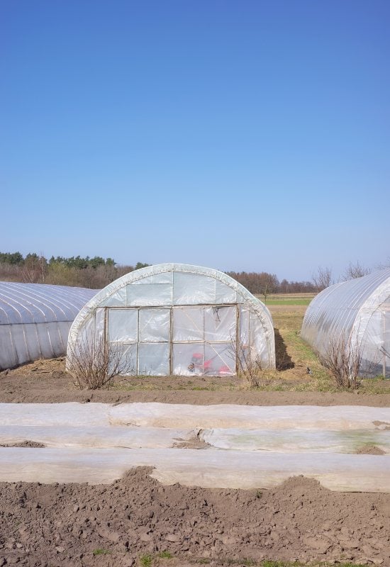 Buy or Make a Polytunnel to Shelter Your Potted Plants Over Winter