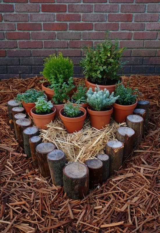 Insulate Your Grouped Small Container Plants and They Will Be Safer in Winter