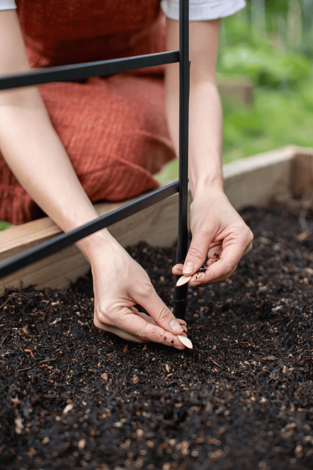 7 Simple Secrets to Grow Your Best Crop of Cucumbers Ever This Year! 1