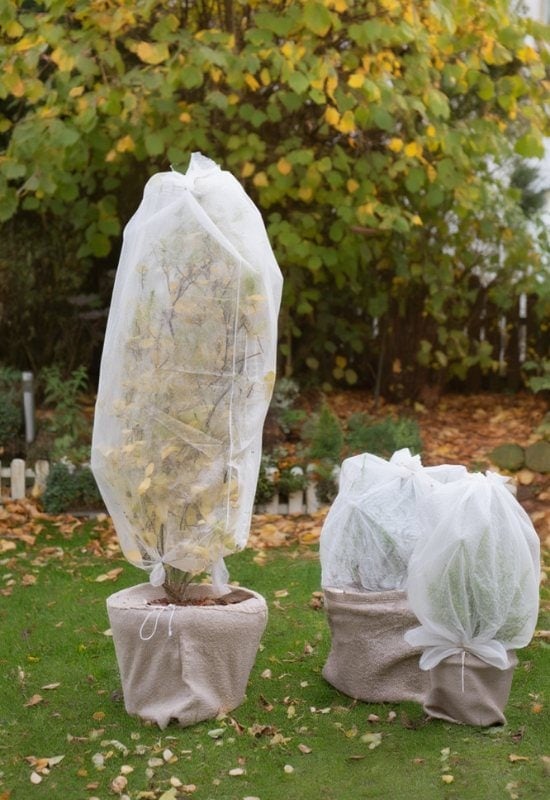 Use a Plant Cover to Protect Your Potted Beauties from Winter