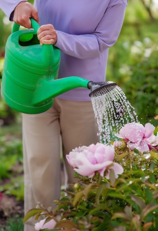 Water Deeply Before Winter Comes