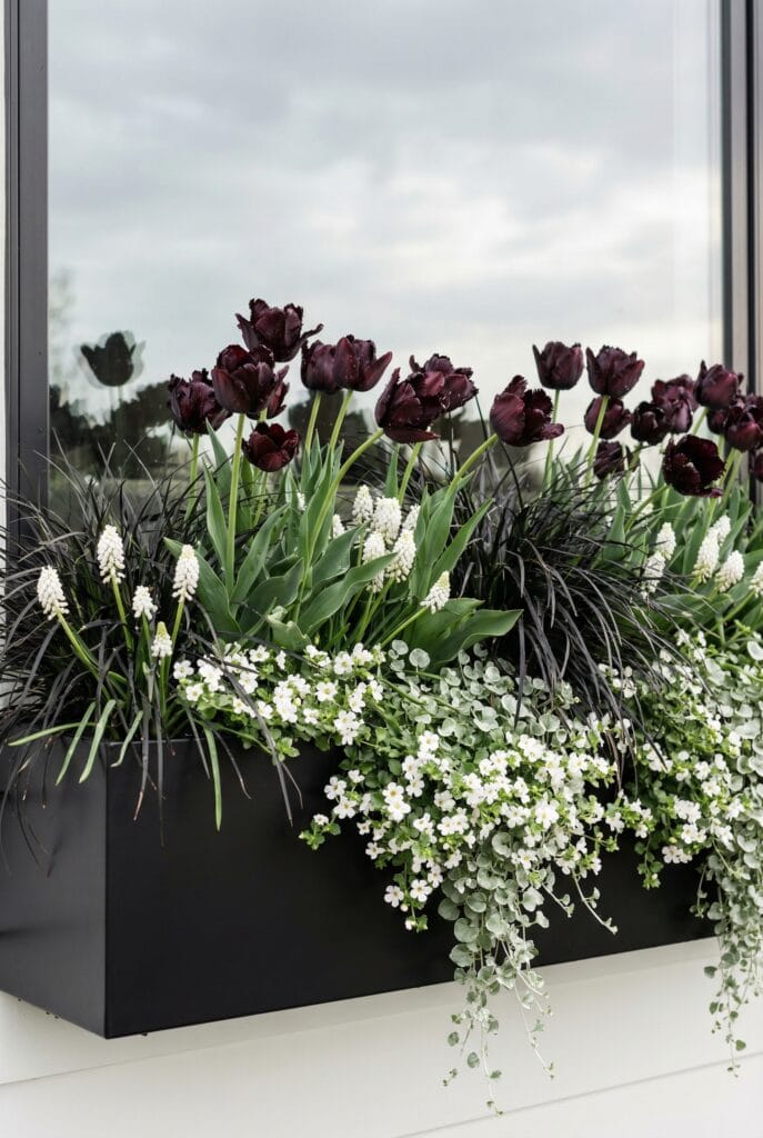 15 Stunning Spring Window Box Ideas Guaranteed to Give Your Home a Fresh Seasonal Glow-Up 13