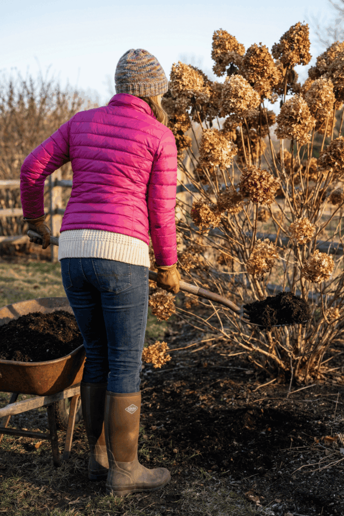 6 February Hydrangea Tasks for Massive Summer Blooms (And 2 Deadly Mistakes) 9