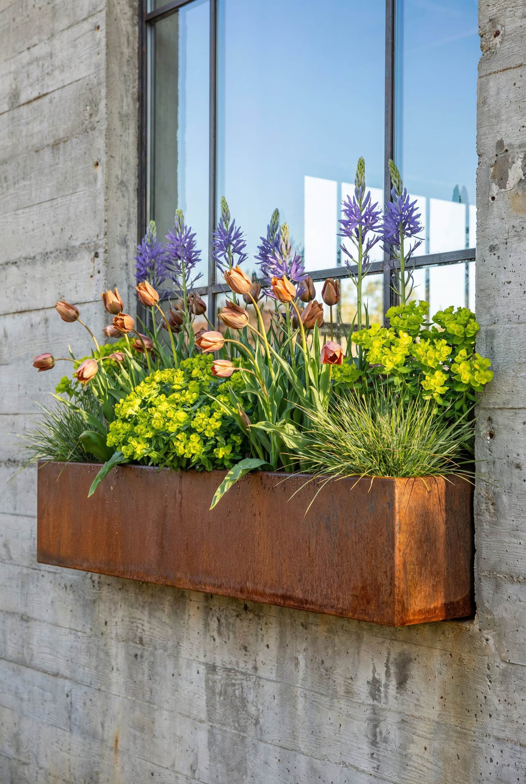15 Spring Window Box Ideas for an Instant Front Yard Glow-Up