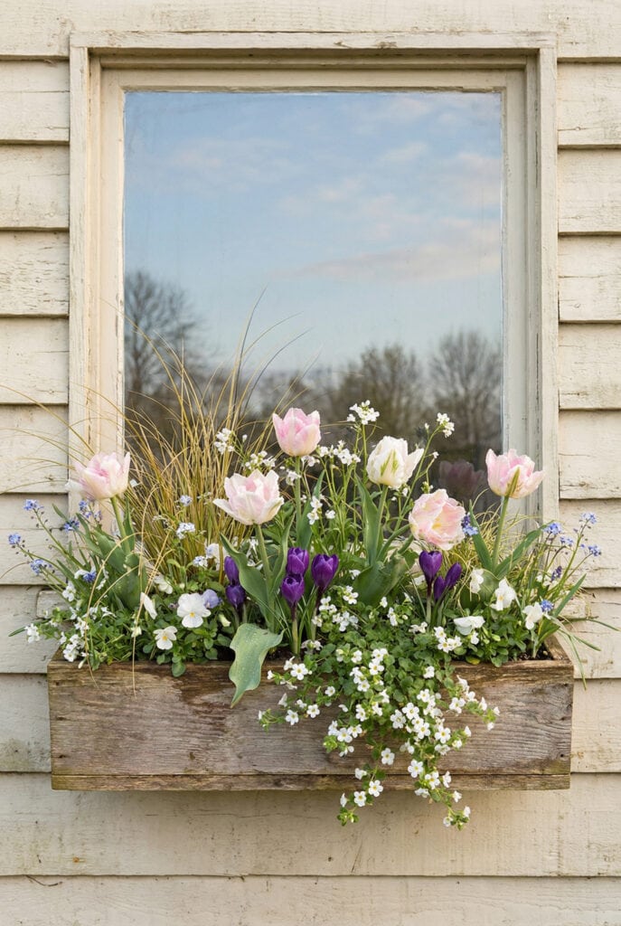 15 Stunning Spring Window Box Ideas Guaranteed to Give Your Home a Fresh Seasonal Glow-Up 7