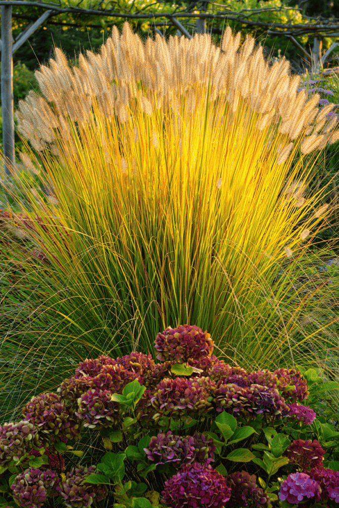 Stop Wasting Money on Wildflower Seeds – Try Mosaic Planting Instead and Use These 20 Plants for a Perfect Meadow-Style Garden 10