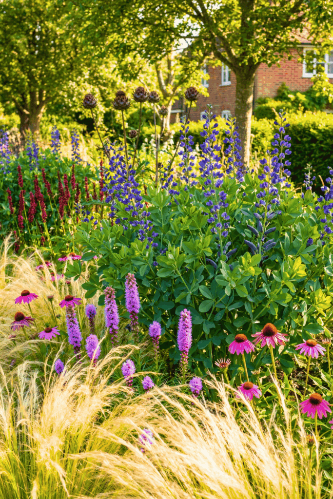 Stop Wasting Money on Wildflower Seeds – Try Mosaic Planting Instead and Use These 20 Plants for a Perfect Meadow-Style Garden 23