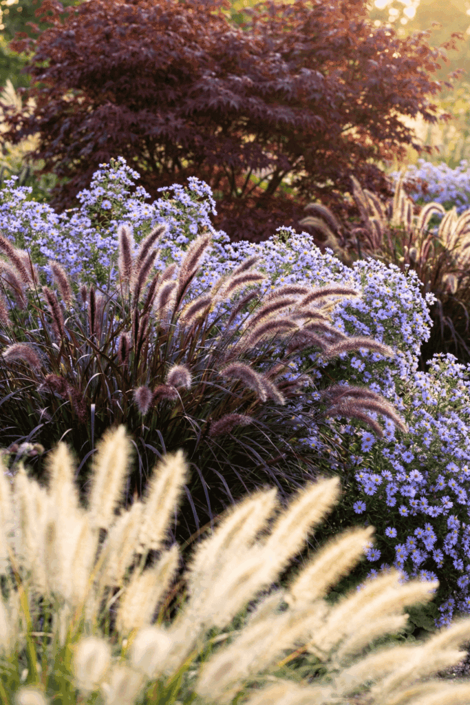 Stop Wasting Money on Wildflower Seeds – Try Mosaic Planting Instead and Use These 20 Plants for a Perfect Meadow-Style Garden 27