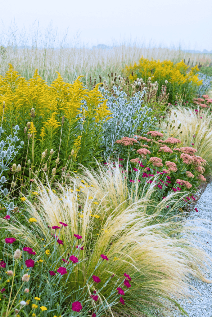 Stop Wasting Money on Wildflower Seeds – Try Mosaic Planting Instead and Use These 20 Plants for a Perfect Meadow-Style Garden 5