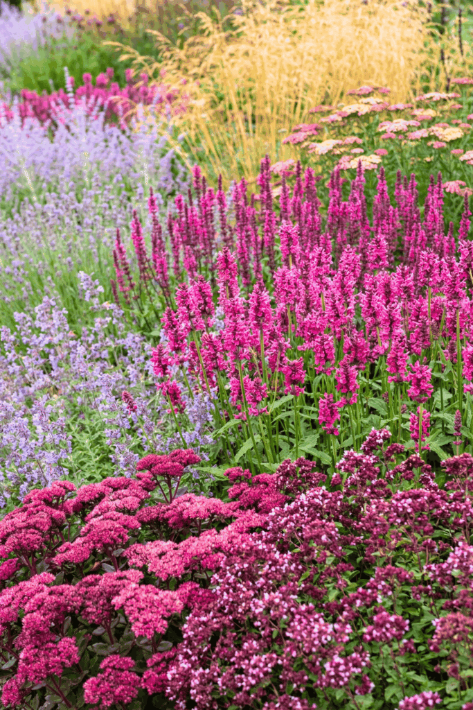 Stop Wasting Money on Wildflower Seeds – Try Mosaic Planting Instead and Use These 20 Plants for a Perfect Meadow-Style Garden 2