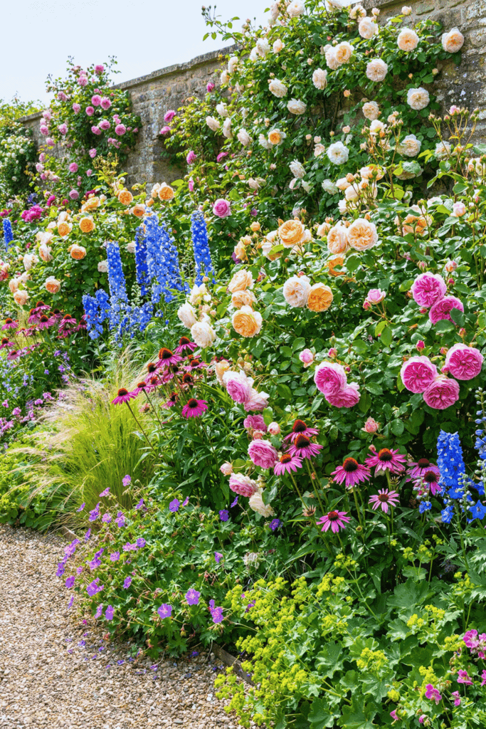 20 Inspiring Rose Garden Ideas for a Stunning Backyard Landscape 19