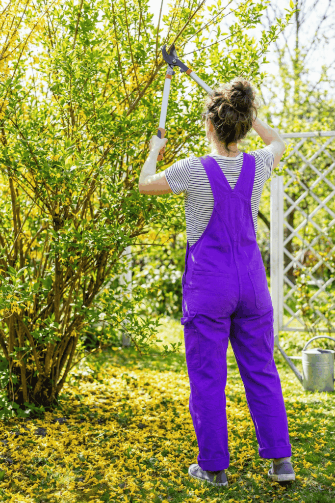 9 Shrubs You Should Never Prune in February — Plus the Right Time to Trim Each One 3