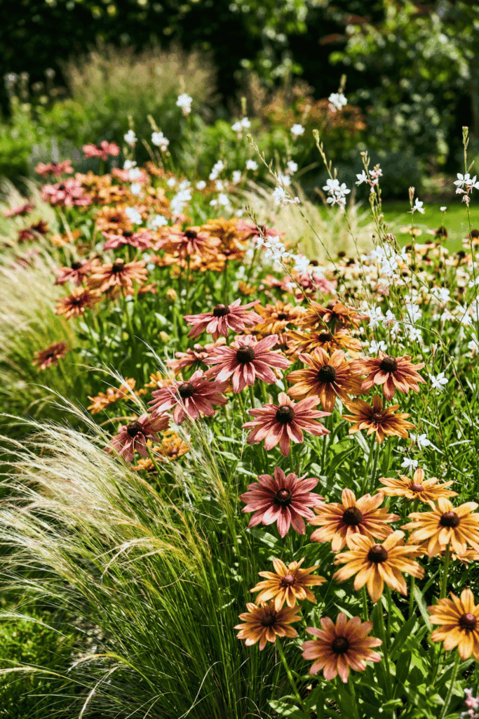 15 Flower Seeds To Sow In March So You Don't Have To Buy Expensive Nursery Plants Later 10