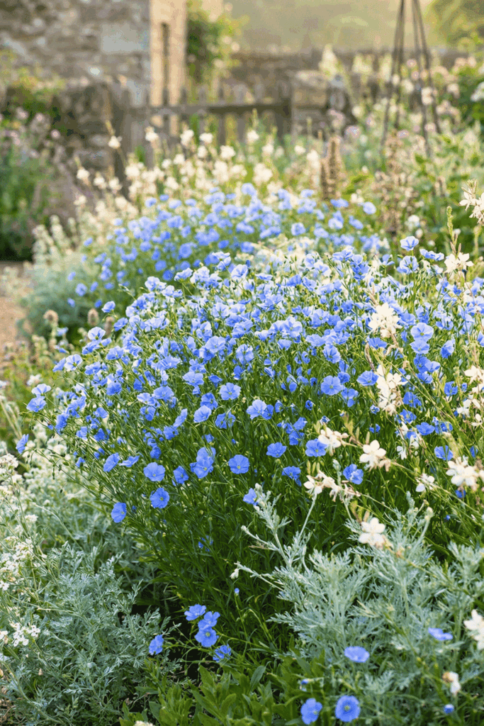 15 Flower Seeds To Sow In March So You Don't Have To Buy Expensive Nursery Plants Later 4