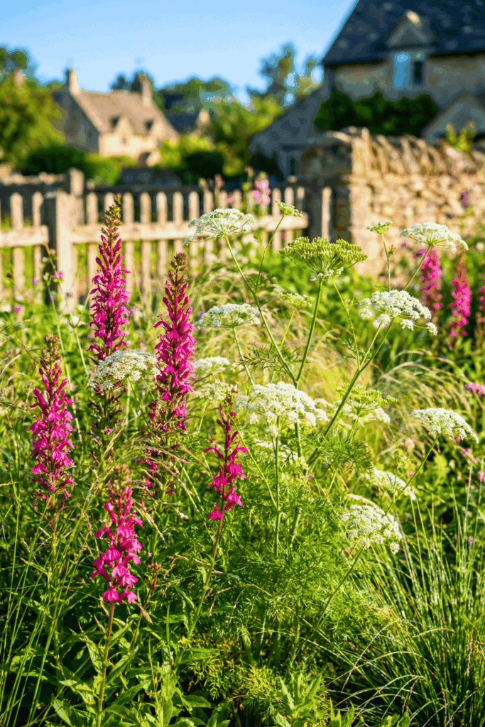 15 Flower Seeds To Sow In March So You Don't Have To Buy Expensive Nursery Plants Later 15