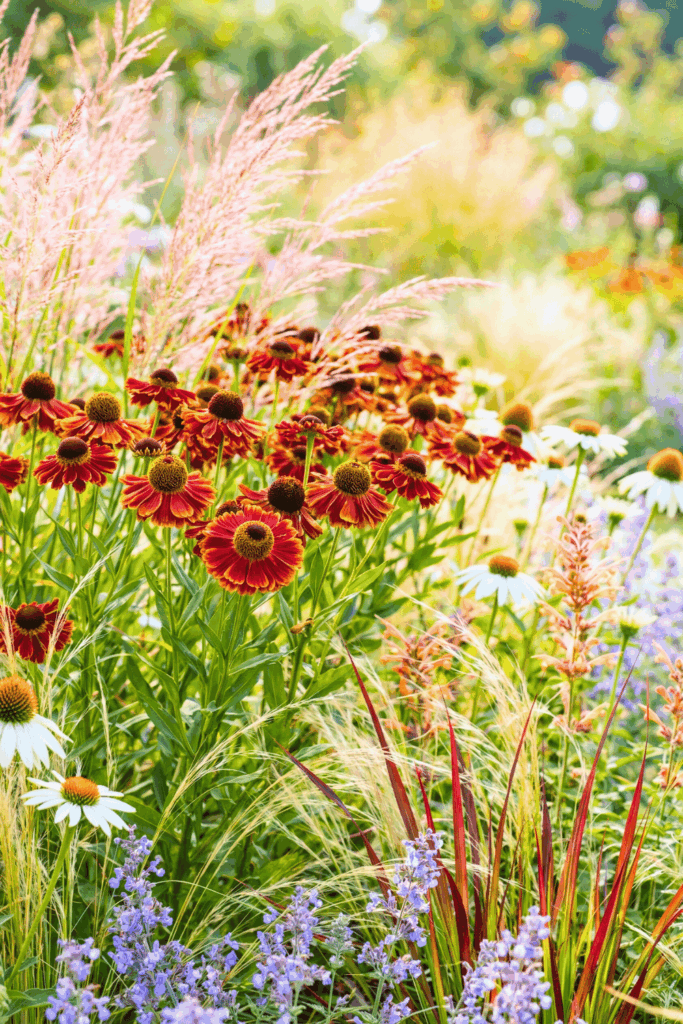 15 Flower Seeds To Sow In March So You Don't Have To Buy Expensive Nursery Plants Later 14