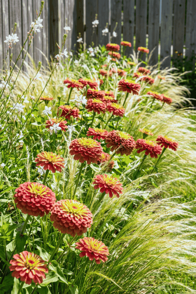 15 Flower Seeds To Sow In March So You Don't Have To Buy Expensive Nursery Plants Later 11