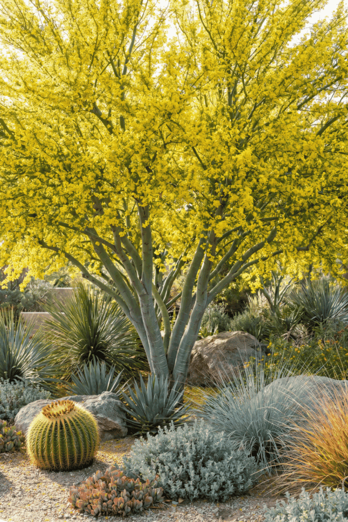 10 California Native Trees to Plant Instead of Crape Myrtle This Year (Better Blooms, Less Water) 2