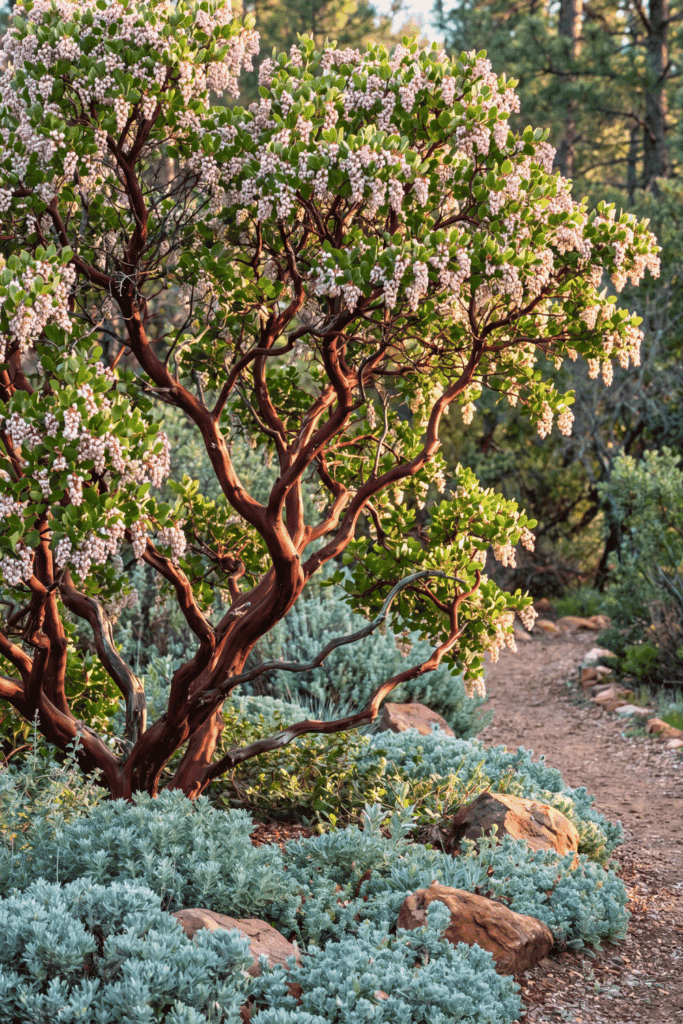 10 California Native Trees to Plant Instead of Crape Myrtle This Year (Better Blooms, Less Water) 8