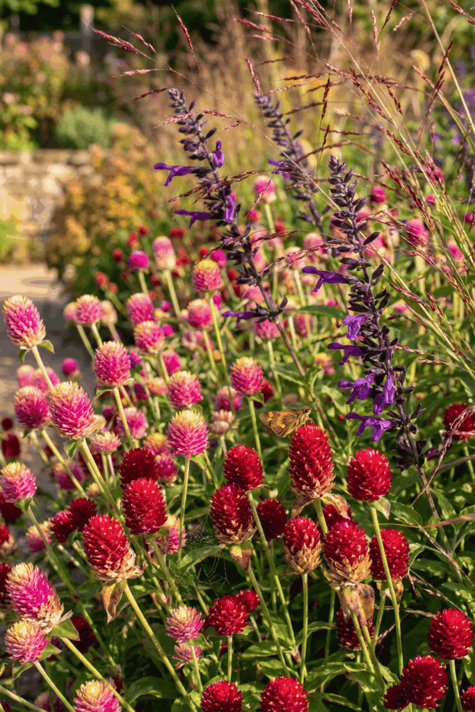 12 Flower Seeds to Sow in April for a Garden That Blooms All Summer and Into Early Fall 8