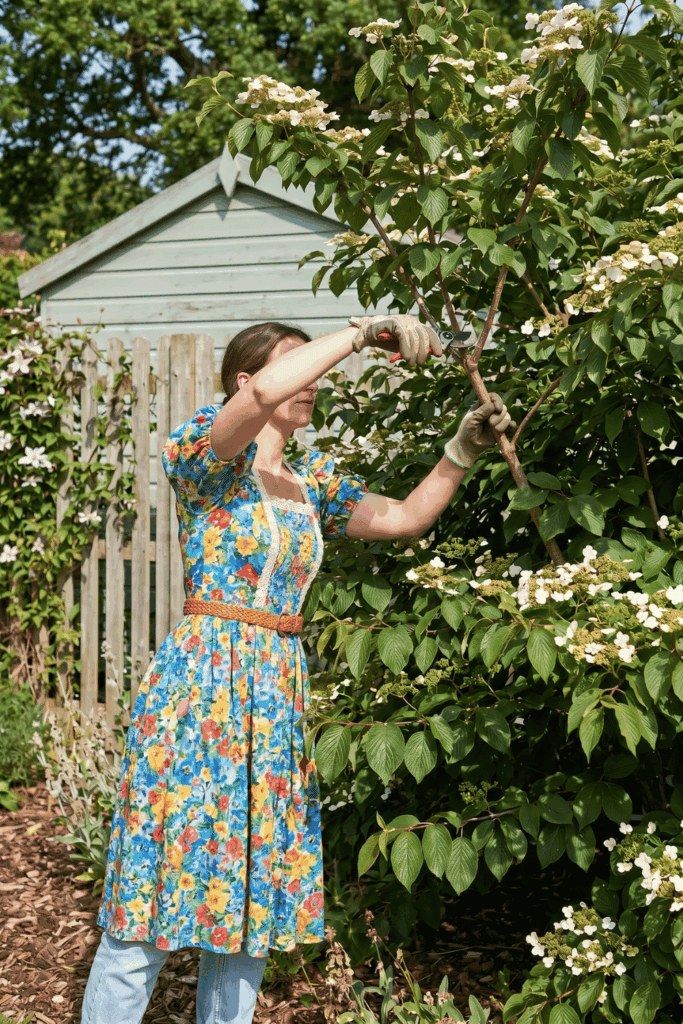 Prune These 9 Flowering Shrubs in June Before They Set Next Year's Buds and It's Too Late 10