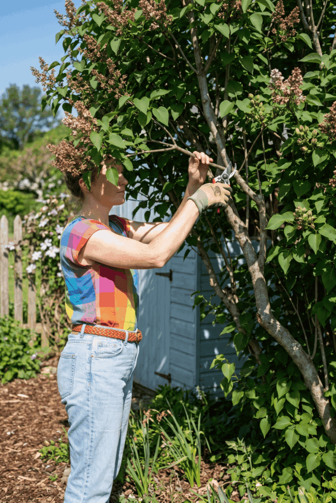 Prune These 9 Flowering Shrubs in June Before They Set Next Year's Buds and It's Too Late 5