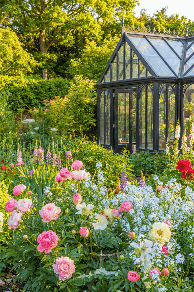 Peonies Have Finished Flowering? Here Are 7 Things You Should Do Right Now for for Bigger, Better Flowers Next Year 2