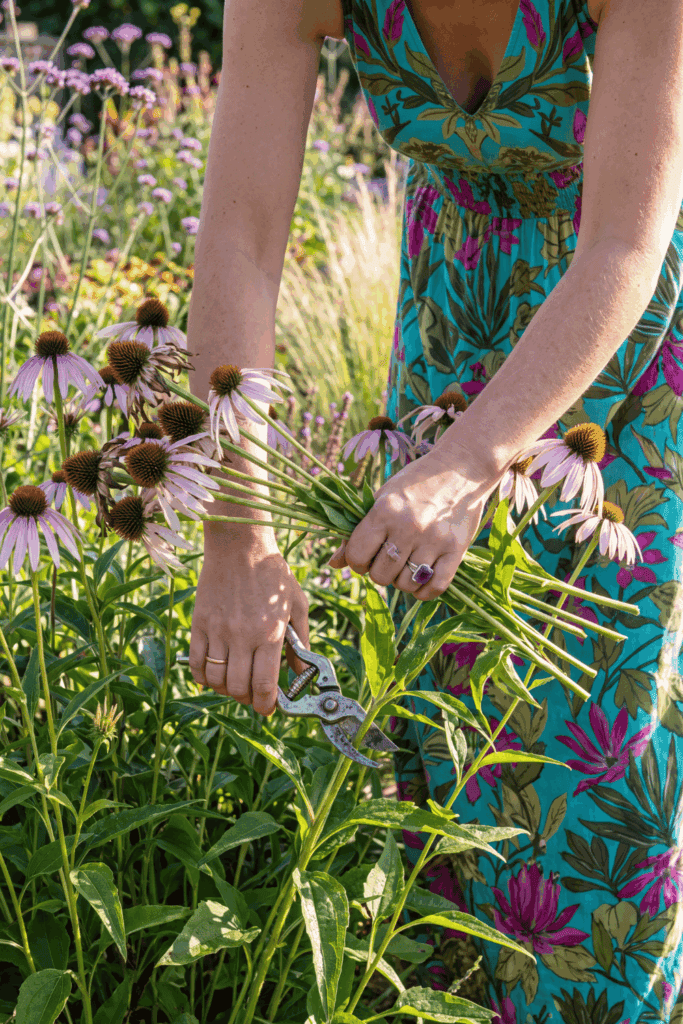 12 Flowers to Deadhead in August So Your Garden Doesn’t Fade Too Early 1